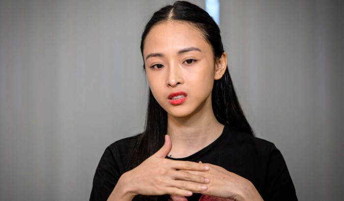 Năm 2015, Trương Hồ Phương Nga bị bắt tạm giam để điều tra về hành vi “Lừa đảo chiếm đoạt tài sản” với số tiền 16,5 tỷ đồng.