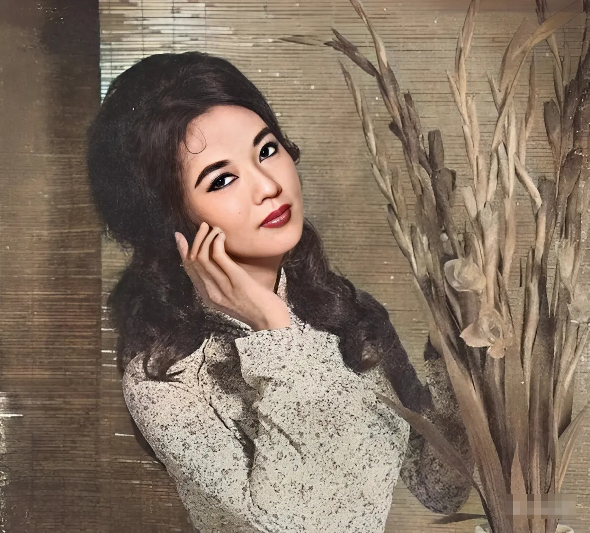 snapedit17479667566461