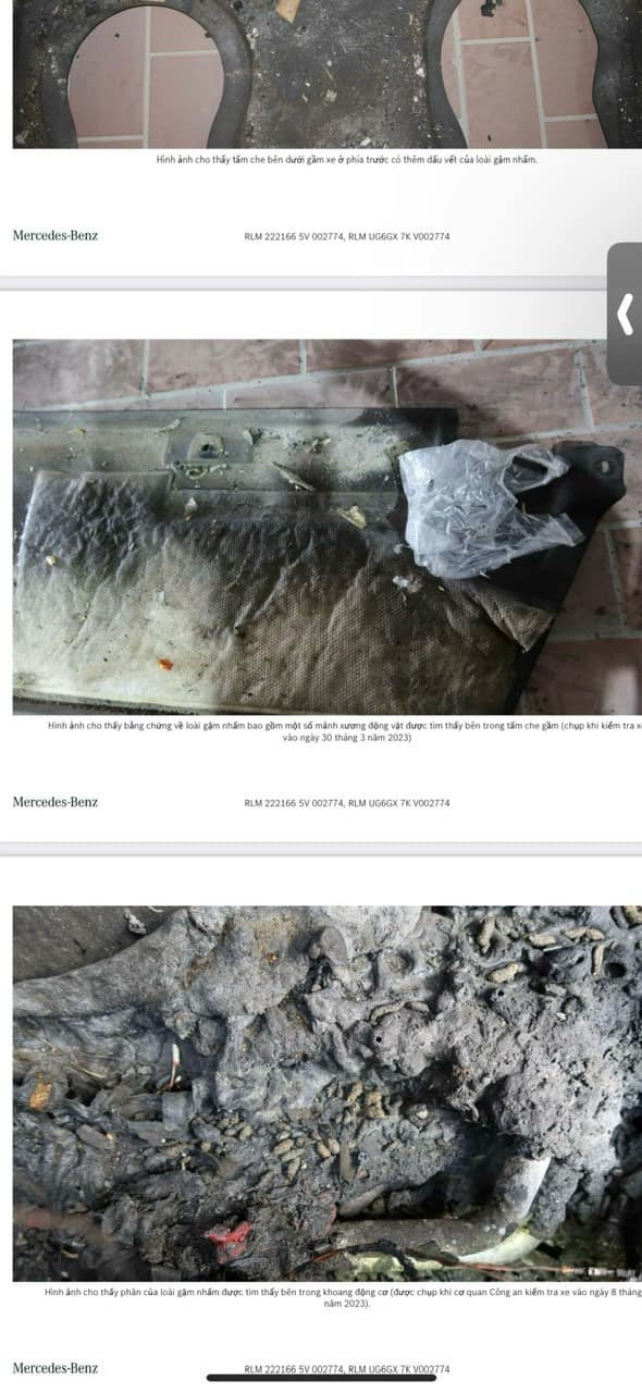 492336673657418407076023772625355421166502n 1745423558534997193754 1745460688142 1745460688303912694200 1745491117306 1745491117386475864610