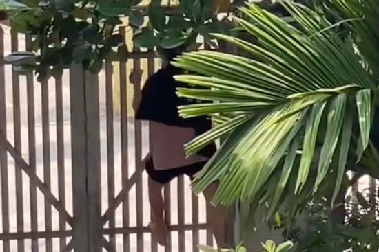 1,6 triệu lượt xem video cụ bà 93 tuổi ở Hà Nội trèo cổng đi tìm chồng