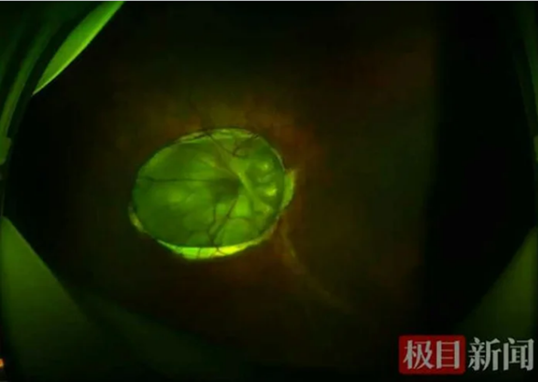 Lạ lùng người phụ nữ