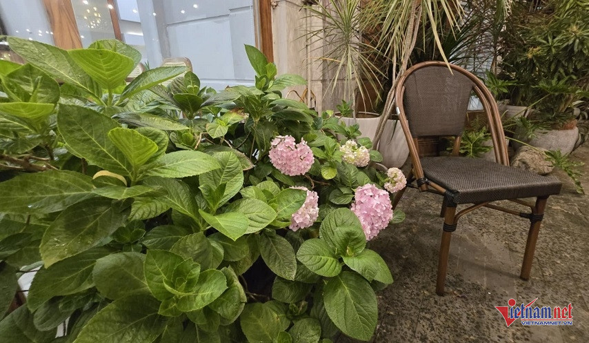 W-aa402948 989a 45ff ad0d 464ca49d4c3b.jpg