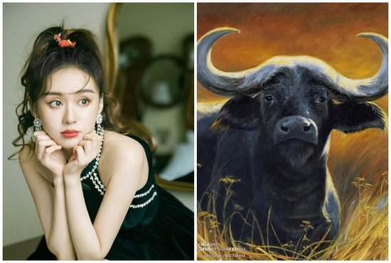 Tử vi 12 con giáp thứ Năm ngày 29/5/2025: Chú ý chi tiêu, tài chính ổn định