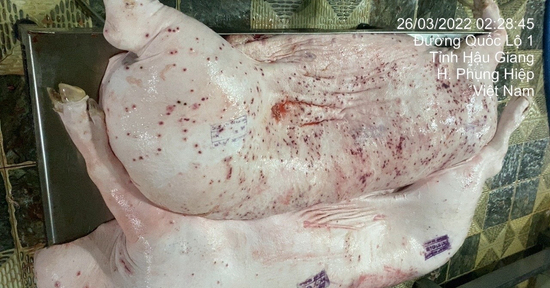 C.P Việt Nam có động thái đầu tiên sau bài tố cáo trên mạng xã hội