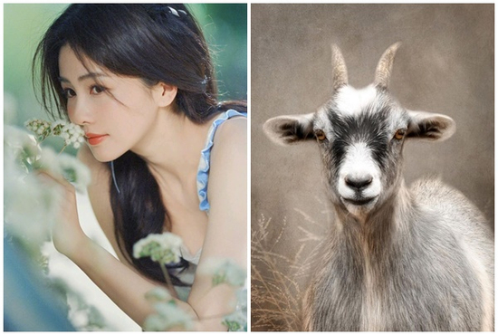 Tử vi 12 con giáp thứ Bảy ngày 31/5/2025: Nhận tin vui về tiền, có của ăn của để