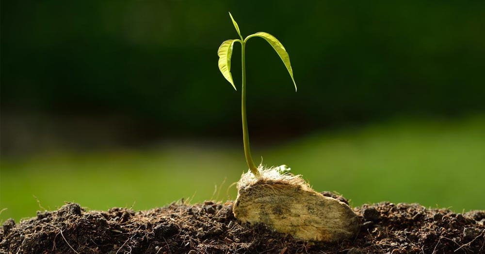 Điều đặc biệt ở 'góc bình dân' trong dinh thự bạc tỷ của nhà Tăng Thanh Hà Điều đặc biệt ở 'góc bình dân' trong dinh thự bạc tỷ của nhà Tăng Thanh Hà- Ảnh 17.