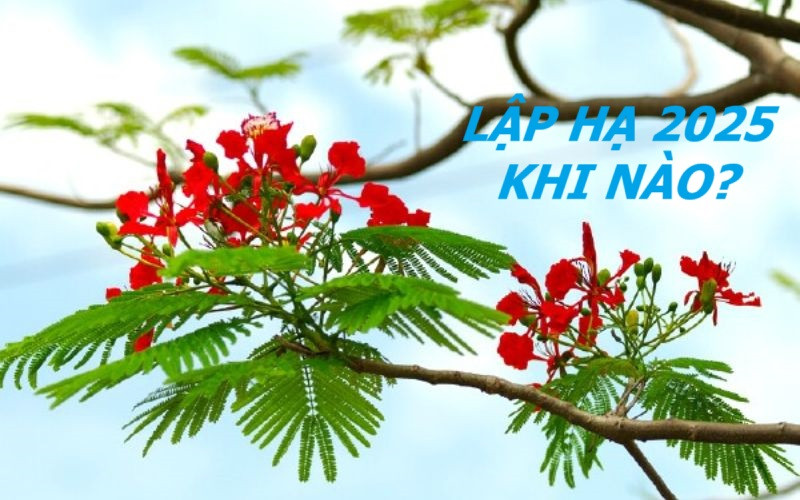 Lập Hạ 2025 và những đại kỵ không phải ai cũng biết để may mắn, tránh tán tài tán lộc- Ảnh 2.