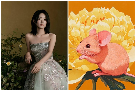 Tuổi Tý - Xem tử vi tuổi Tý chính xác nhất