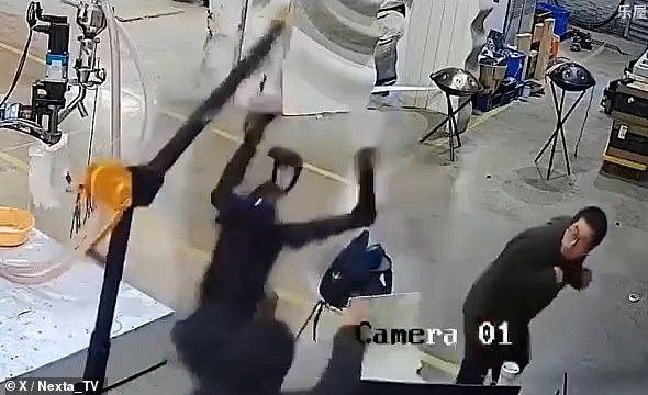 98038021 14679063 therobotseem