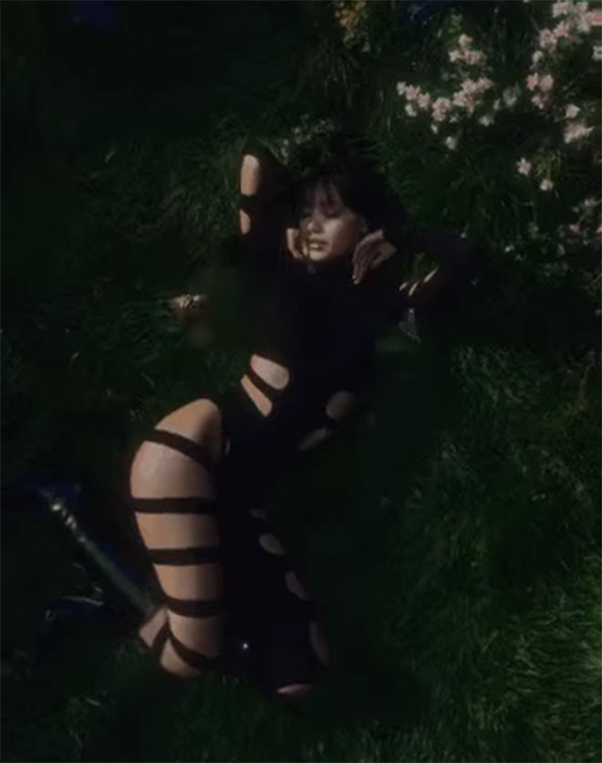 Những lần ăn mặc hở bạo nóng mắt của Lisa