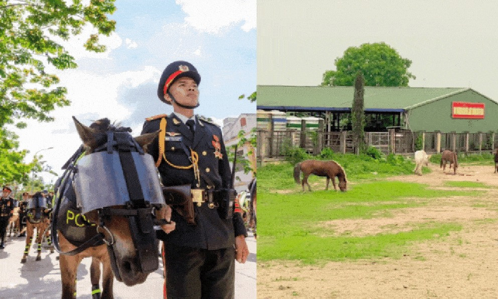 thiet ke chua co ten 2.jpg