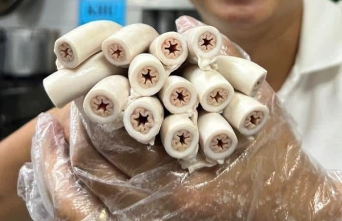 So với lòng non thông thường, lòng se điếu có kết cấu săn chắc, đàn hồi tốt, không bị teo tóp nhiều. (Ảnh minh họa)