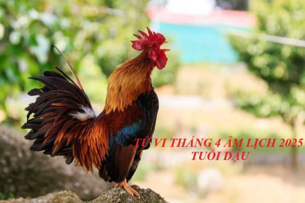 Con giáp tuổi Dậu đón nhiều tin vui, lộc đổ về sầm sập trong tháng 5- Ảnh 3.