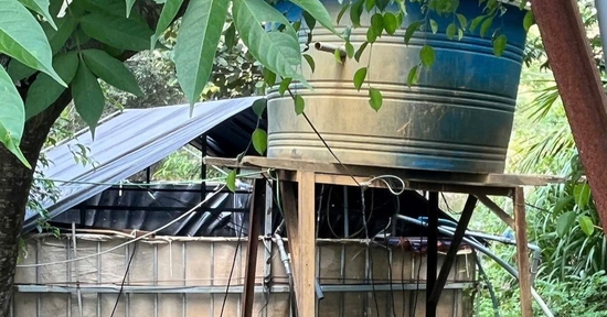 Điều tra chủ trại vịt cùng một người đàn ông tử vong trong hồ nước