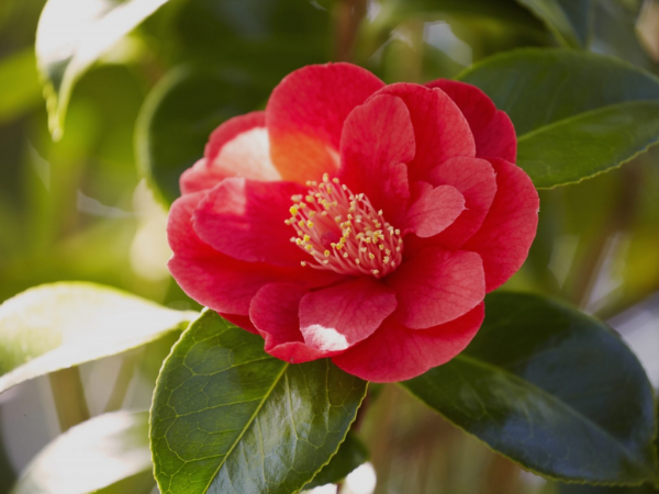 Mừng 3 con giáp hưởng phúc trời ban trong 5 ngày tới (5/6), đường TÀI LỘC khởi sắc thịnh vượng, may mắn ùn ùn kéo tới, chắc chắn thành Đại Gia - Ảnh 2