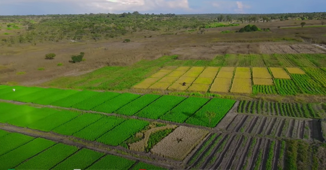 NÓNG Trang trại bạc tỷ của Quang Linh Vlogs bị cháy thiệt hại được thống kê