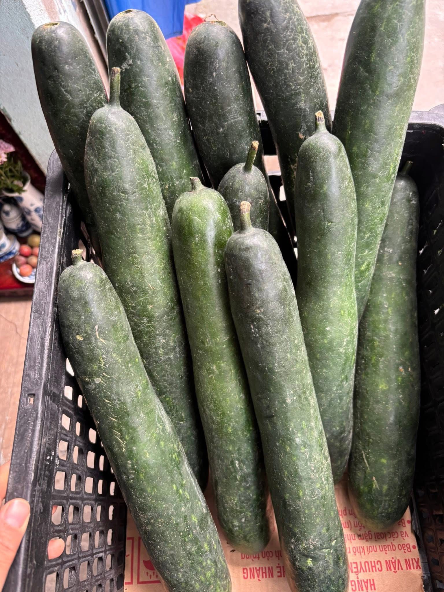 Loại quả được ví ‘vua giải nhiệt’ giá chỉ hơn 10.000 đồng/kg, ăn ngày hè này càng bổ dưỡng, kiểm soát đường huyết tốt- Ảnh 2.