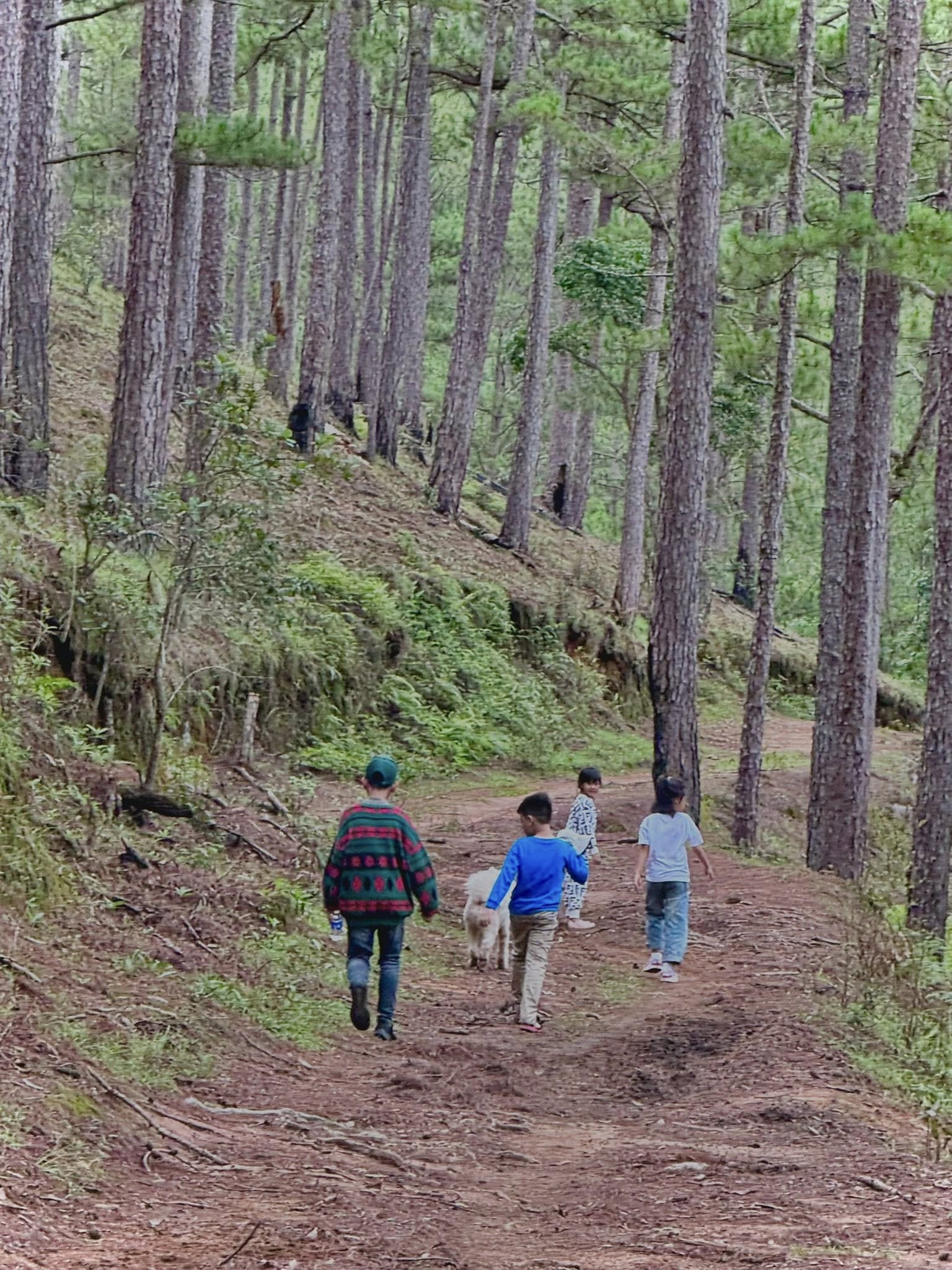 5025995194015794312015923475762962931379727n