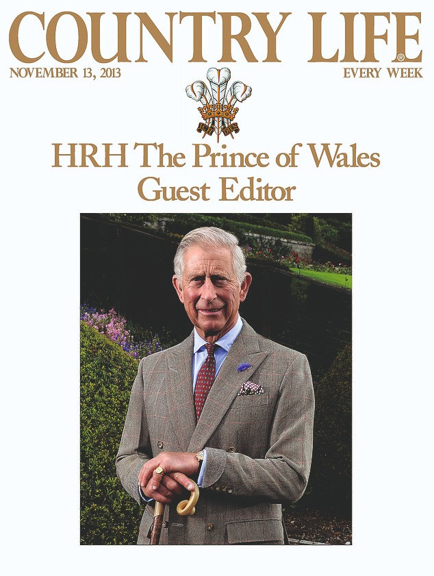 99292319 14804943 image a 61749