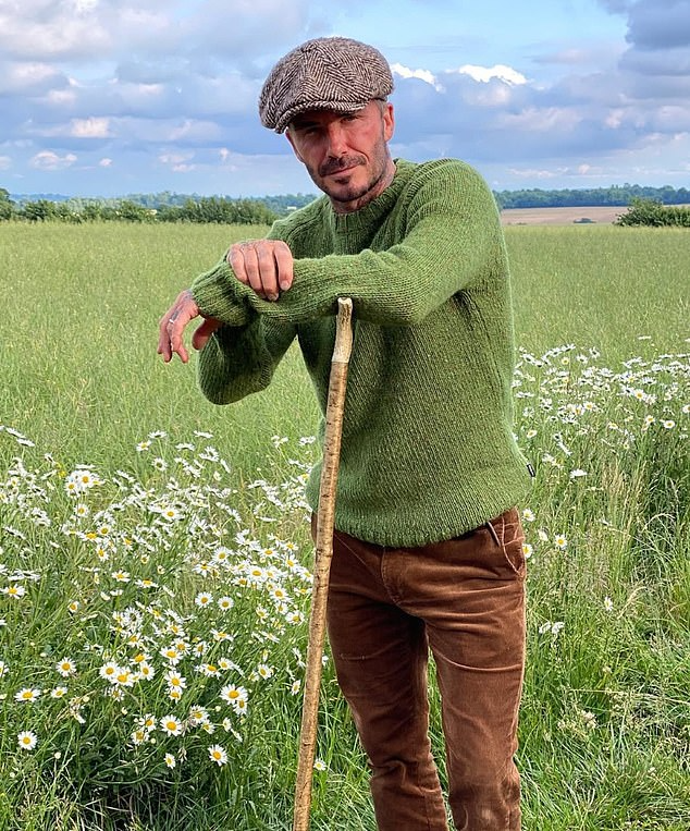 99292619 14804943 image a 11749