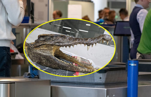 Mở vali của người đàn ông 32 tuổi, phát hiện thứ đáng sợ bên trong