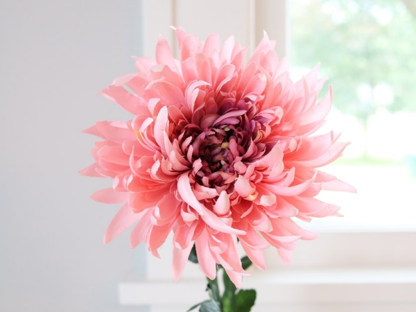 Đúng 20h hôm nay, ngày 14/6/2025, 3 con giáp lọt vào mắt xanh của Phật Bà, Phú Quý Tài Lộc tự tìm đến nhà, xòe tay hứng tiền, trở thành đại gia - Ảnh 3