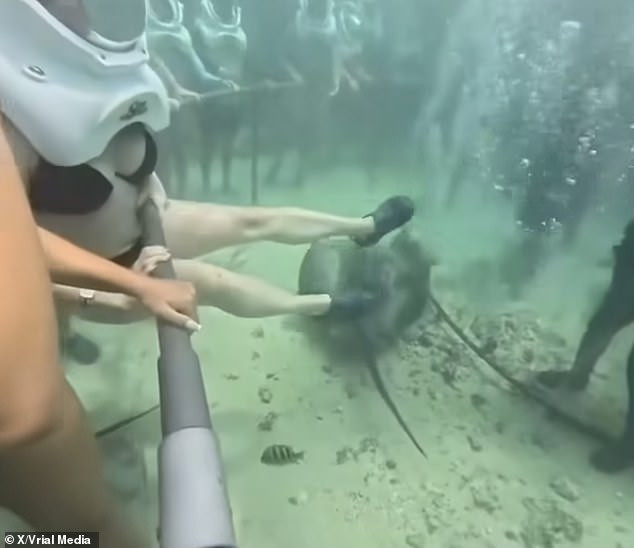 Đôi chân của người phụ nữ nhấc lên và