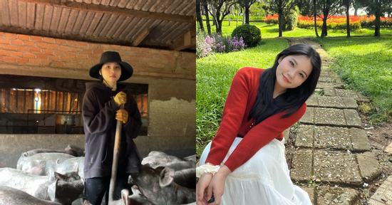 Rời TPHCM về quê nuôi 200 con lợn, cô gái Lâm Đồng 'lột xác' bất ngờ