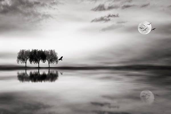 Tranh phong thủy phòng khách: Nên và không nên- Ảnh 3.