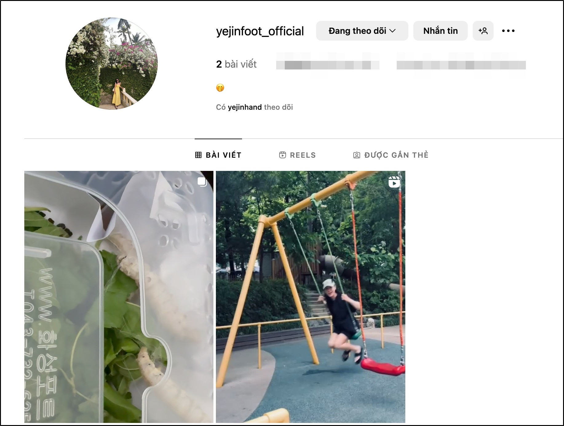 Son Ye Jin hiếm hoi chia sẻ hình ảnh về cuộc sống riêng tư