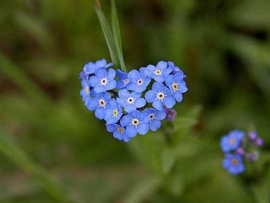 Trong 5 ngày cuối tháng 5 âm lịch, 3 con giáp ĐỎ cả tình lẫn tiền