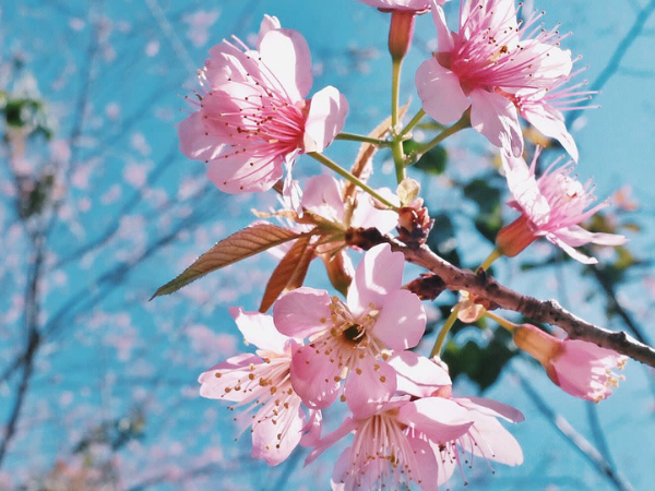 Trúng số độc đắc vào đúng ngày 20/6/2025, chỉ đích danh 3 con giáp có căn phú quý, sự nghiệp suôn sẻ đủ đường, cuộc đời sung túc, gặp dữ hóa lành - Ảnh 1