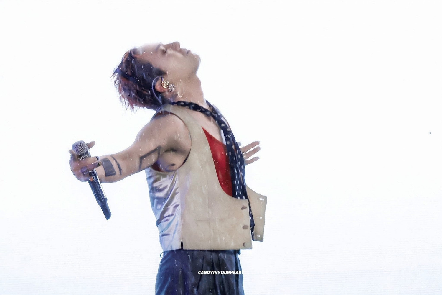 g dragon viet nam 6_batch.jpg