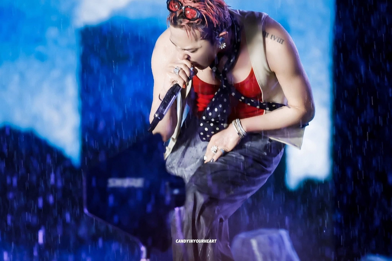 g dragon viet nam 8_batch.jpg