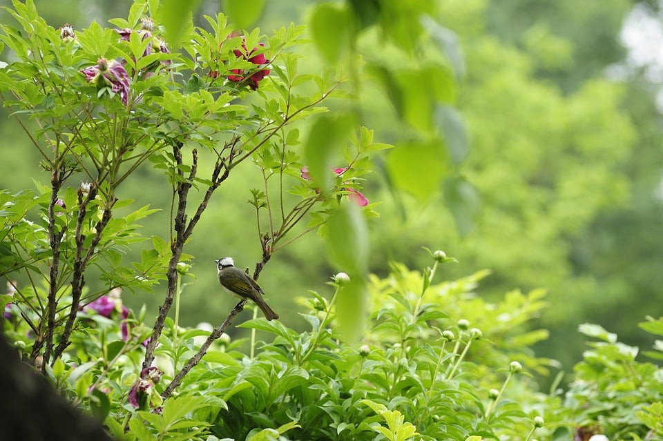 Tháng sinh Âm lịch của người thông minh, sắc sảo- Ảnh 3.