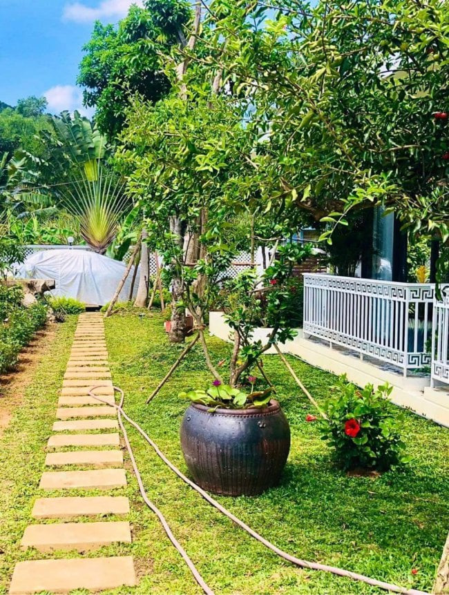 việt anh- Ảnh 6.