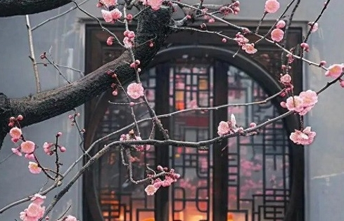 Ngày sinh Âm lịch của người không ngại khổ, nhờ đó mà có nhân sinh như ý