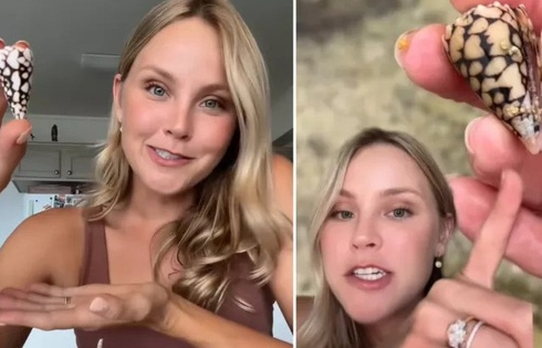 Nhặt được sinh vật biển tưởng vô hại, cô gái phát hiện sự thật rùng mình