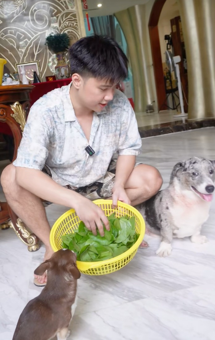 Bạn trai tin đồn của Miu Lê giàu có thế nào