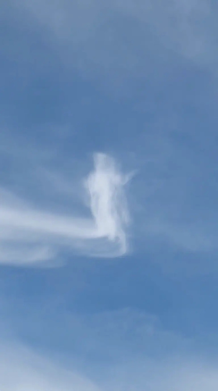 Giáo dân tin rằng đây là điều kỳ diệu hiếm khi xảy ra. (Ảnh: Viral Press)