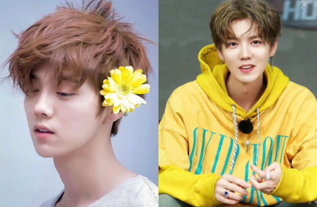 fotojet 2025 06 28t202410185