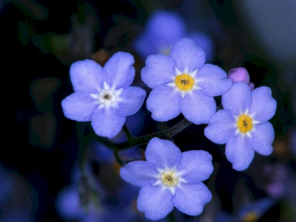 Nửa đầu tháng 7 dương lịch, 3 con giáp Thần Tài ban thưởng lớn bung tài nở lộc, tiền vào như nước, may mắn hơn người, cuộc đời hanh thông - Ảnh 2