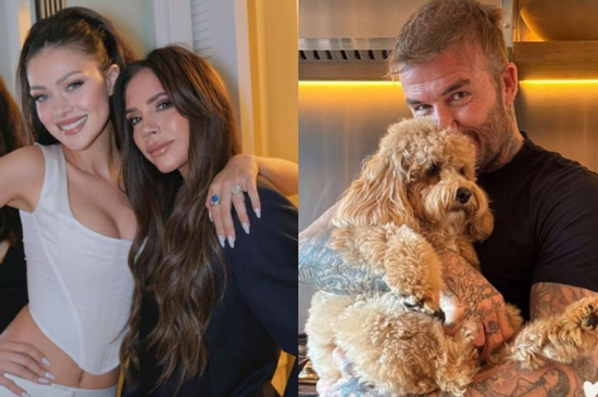 Beckham có nước đi không ngờ giữa drama 'sóng gió gia tộc', tín hiệu 'đầu hàng' con dâu?