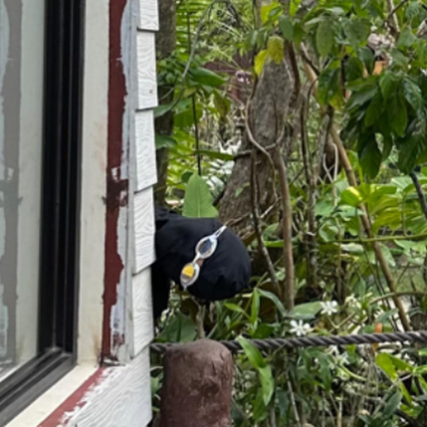 se2235099525614293049211631746477855738870275440n