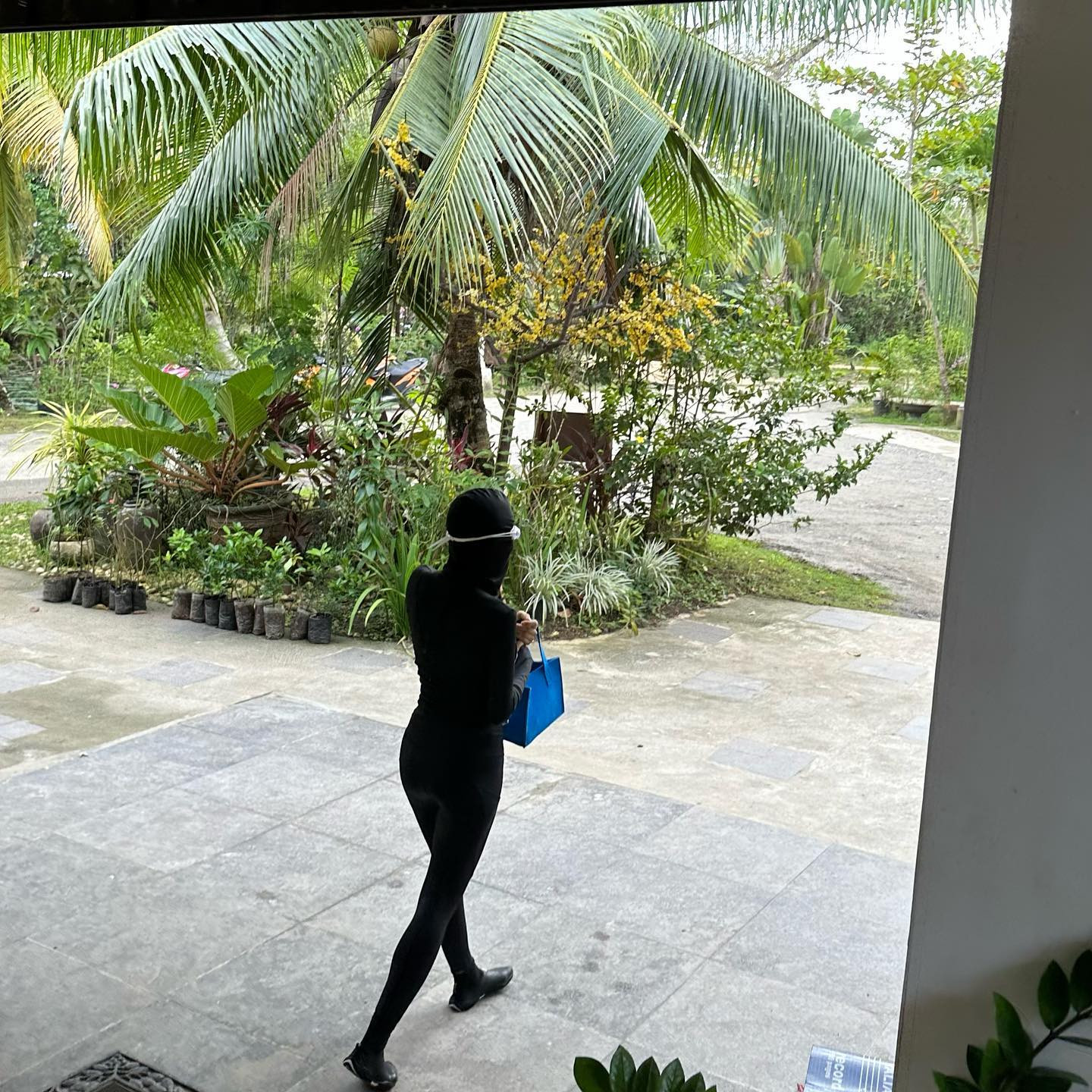 se2235072575616824970955247892725317637289485610n