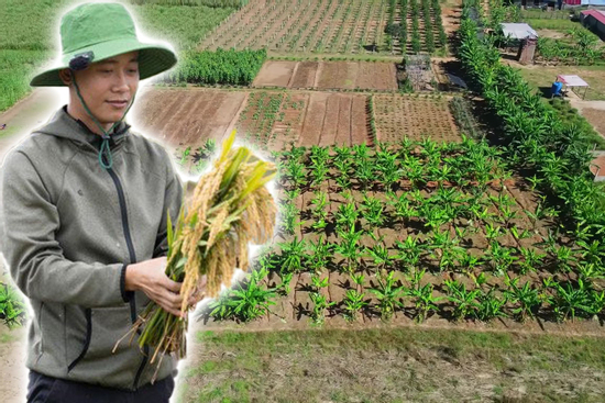 Tình cảnh trang trại 14ha của Quang Linh Vlogs ở châu Phi sau 2 tháng 'chủ tịch' vướng lao lý