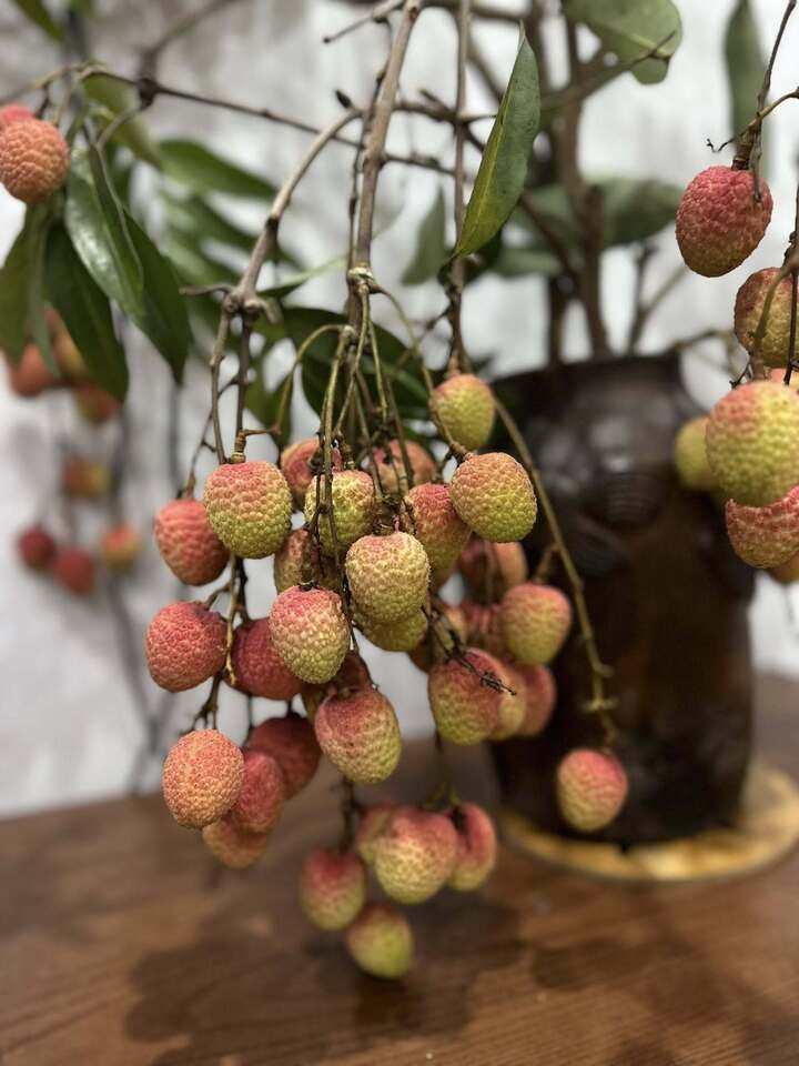 Trend cành vải cắm bình khiến những người mê cắm hoa 'phát sốt'- Ảnh 3.