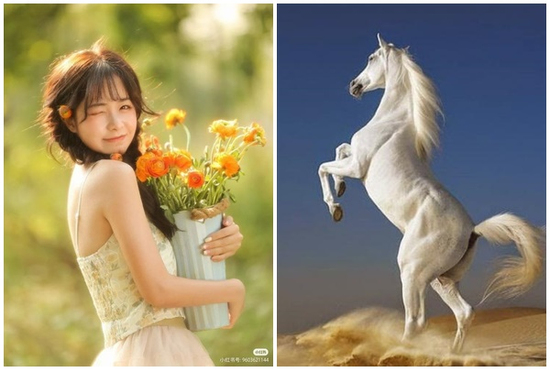 Tử vi 3 con giáp may mắn nhất thứ Sáu (6/6): Chạm tay vào giàu có, sự nghiệp thăng tiến bất ngờ