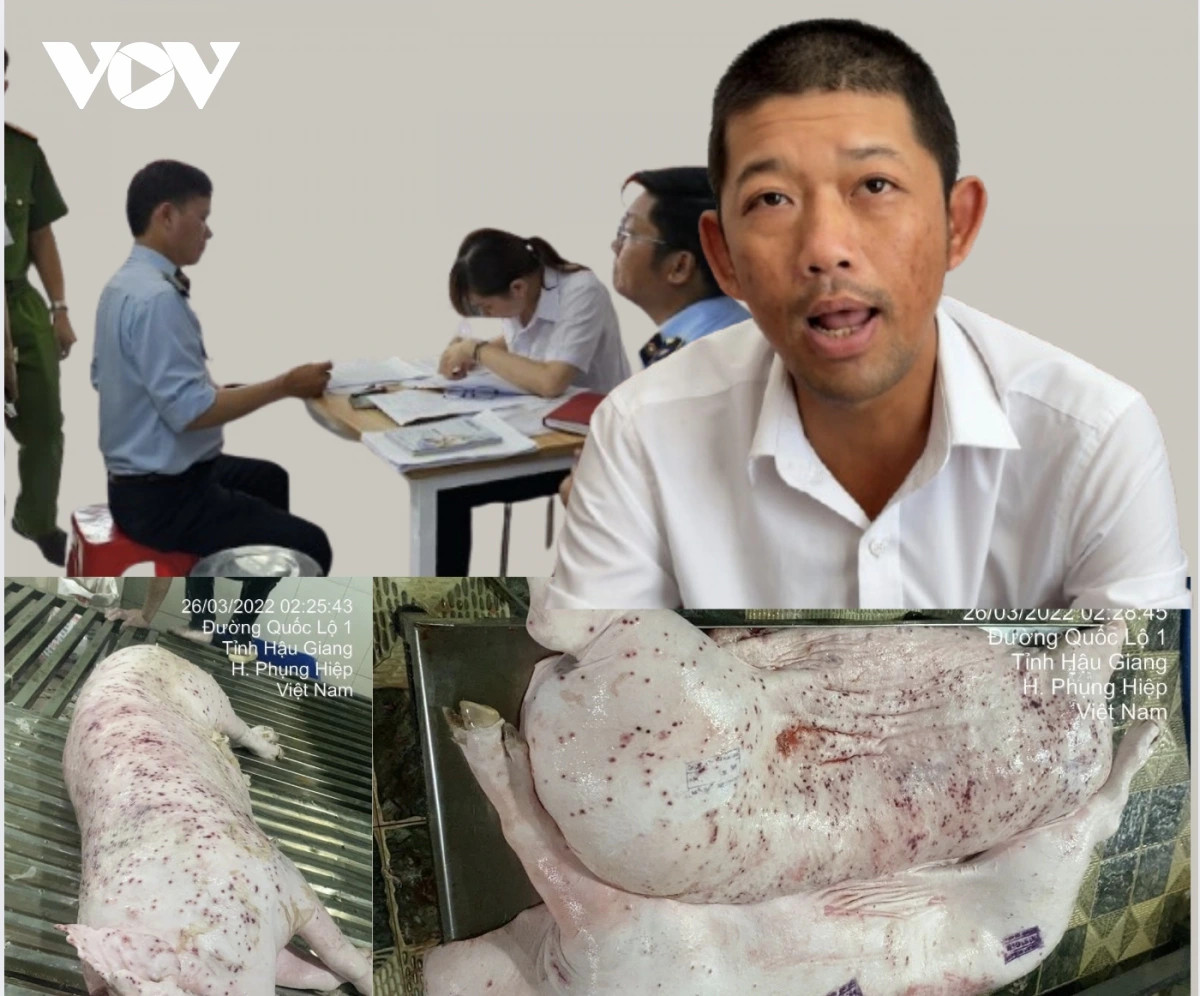 cap the bhyt cho anh lieu quy ngan - nguoi to cua hang c.p ban thit lon benh hinh anh 1