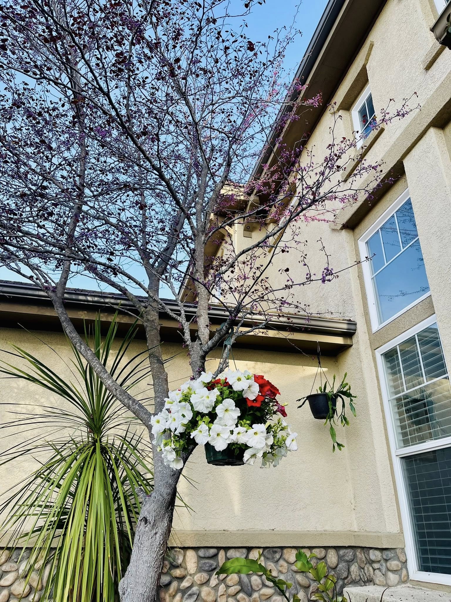 493261435240741918121867994009552820598447011n